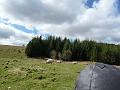 Aviemore-Fort William (59)